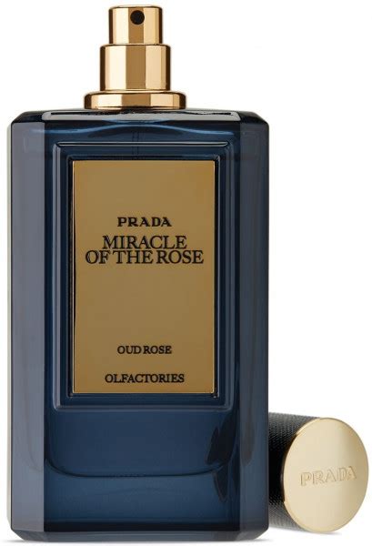 prada miracle of rose|prada mirages perfume.